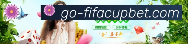 未来规划